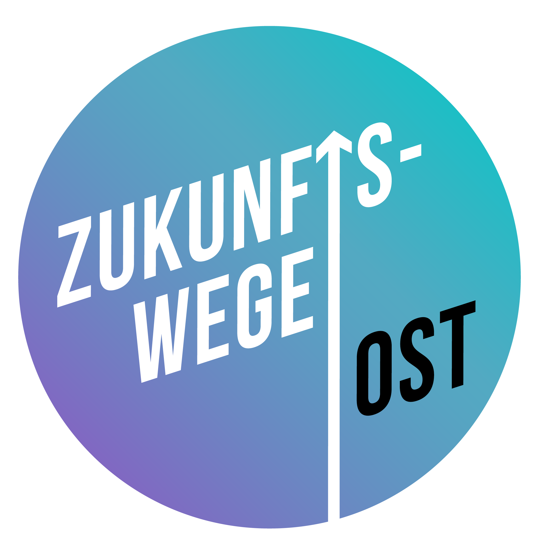 Logo Zukunftswege Ost
